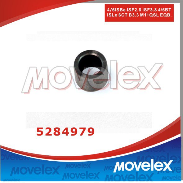 Ring Dowel ISF2.8/3.8