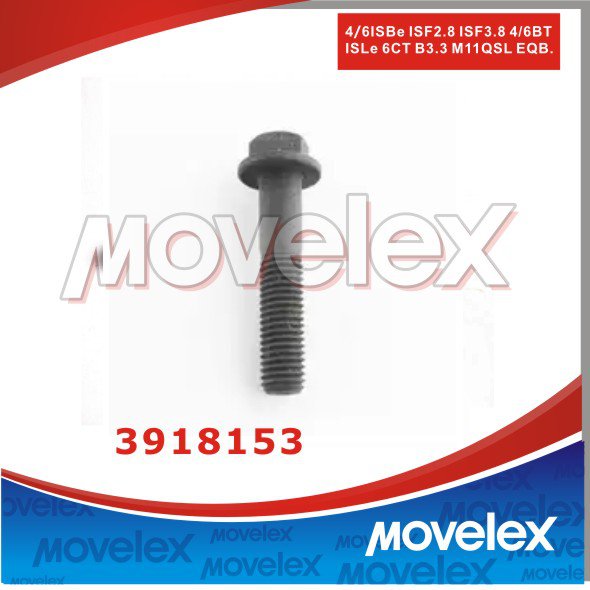 Hex Head Nut