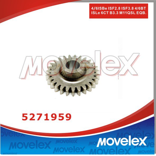 ISF3.8 Fuel Pump Gear