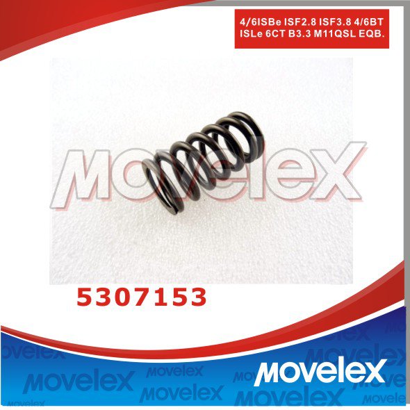 Valve Spring 4976980