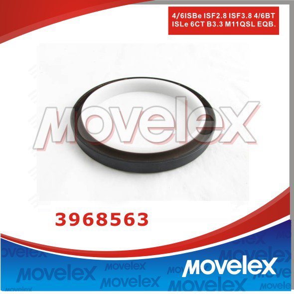 Crankshaft Rear Oil Seal