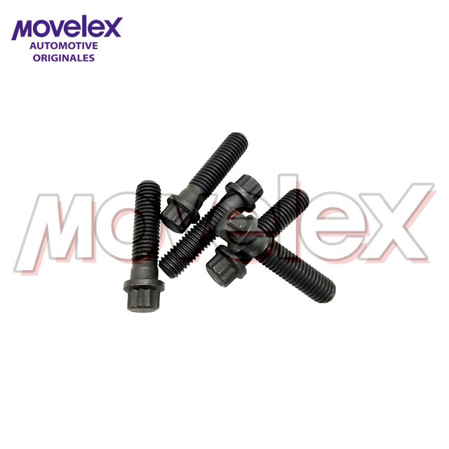 Screw Twelve Point Cap  NT855