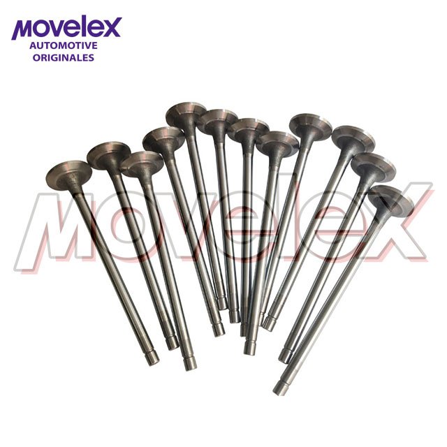 M11 Intake Valve